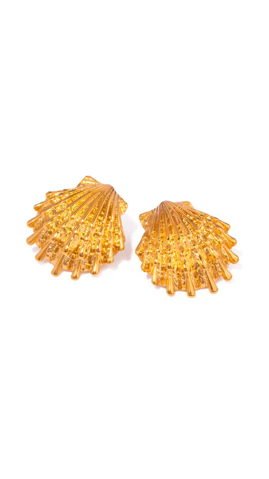 Ocean Seashell