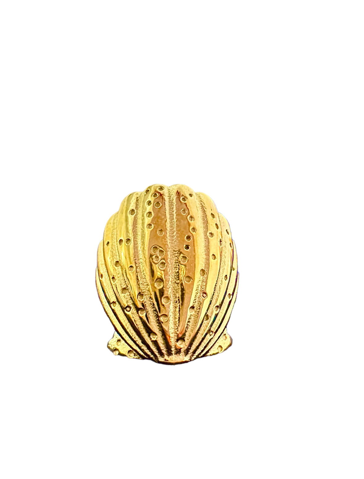 Alicia’s Seashell Ring