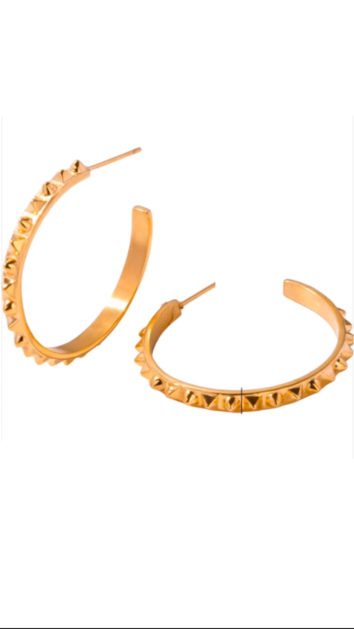 Ariana Hoops