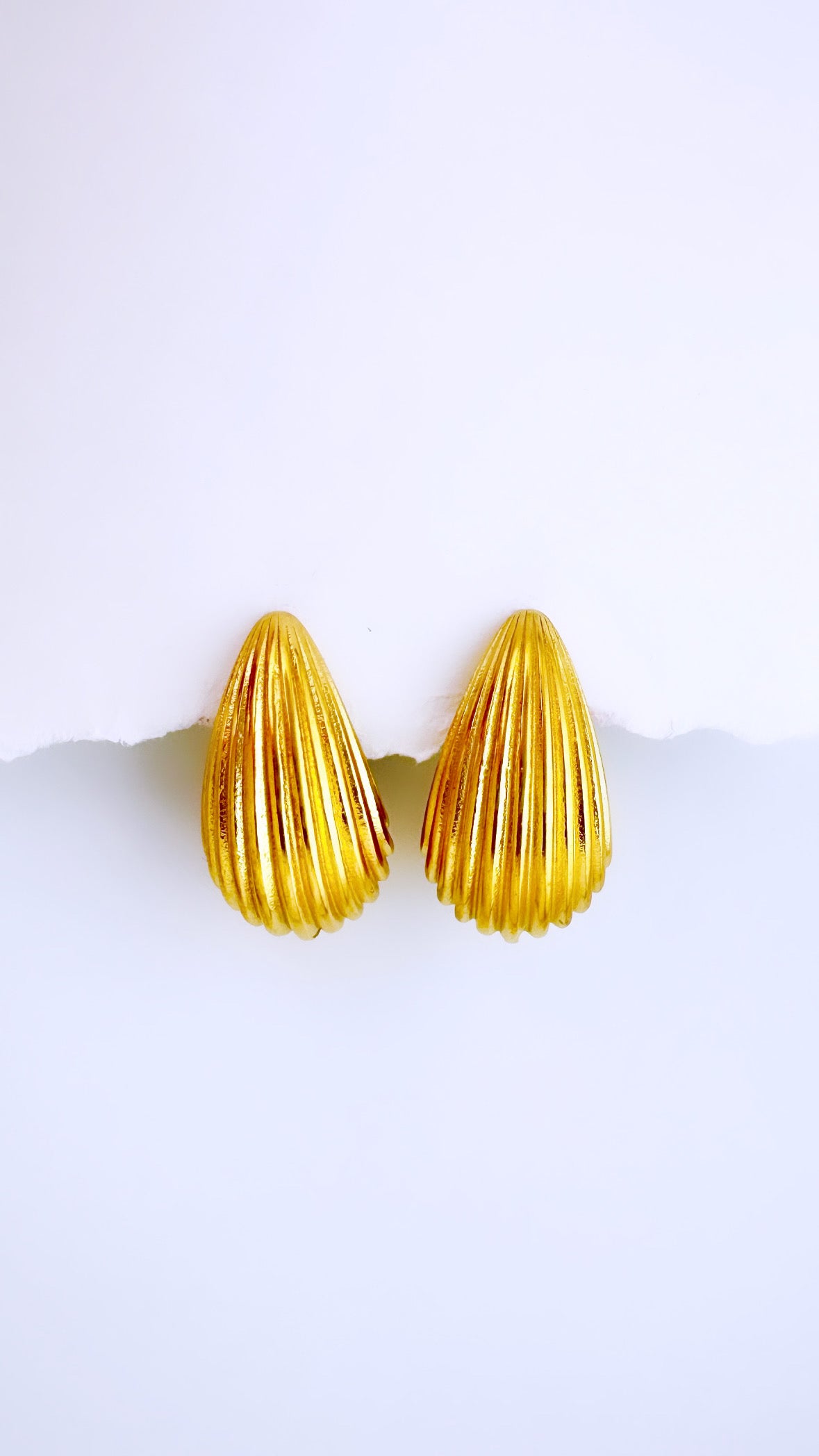 Sea Shell Bottega Earrings