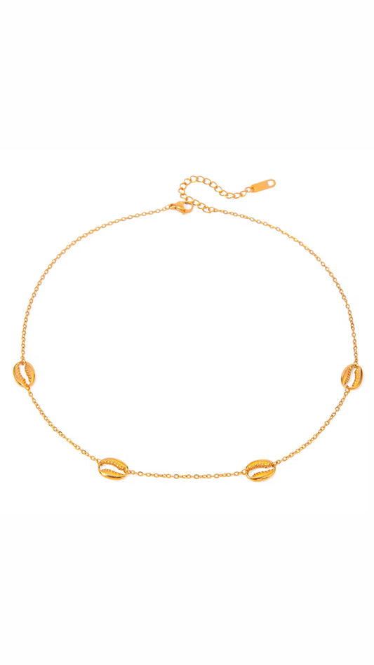 Four Shell Necklace