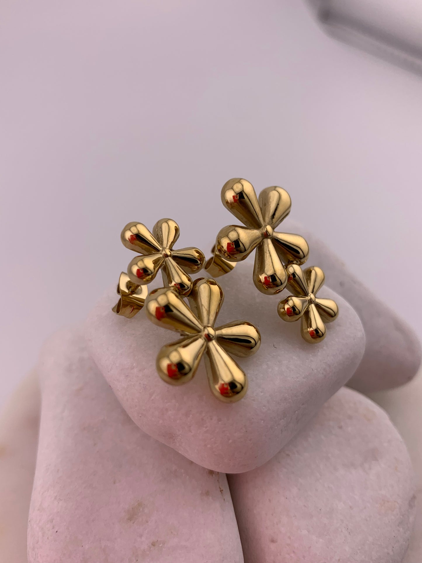 Daisy Dream Stud