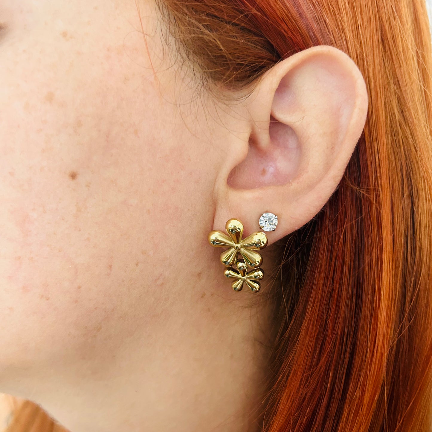 Daisy Dream Stud